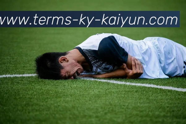 开云app平台生态图