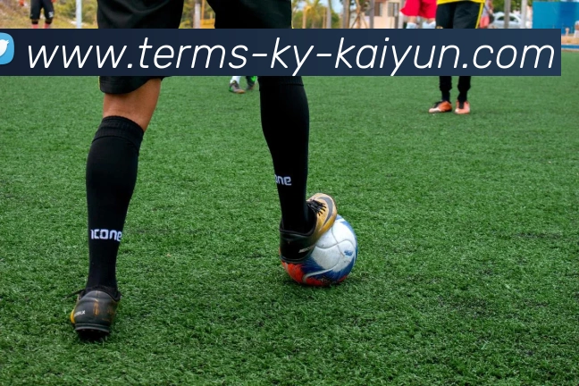 开云appAPP 高清赛事图